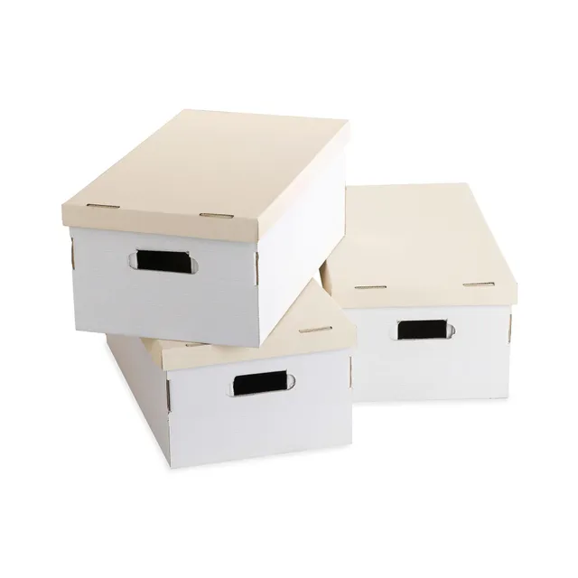 compactor-white-and-kraft-lot-de-3-bo-tes-carton-52-x-29-x-h-20-cm-ran855 image 1