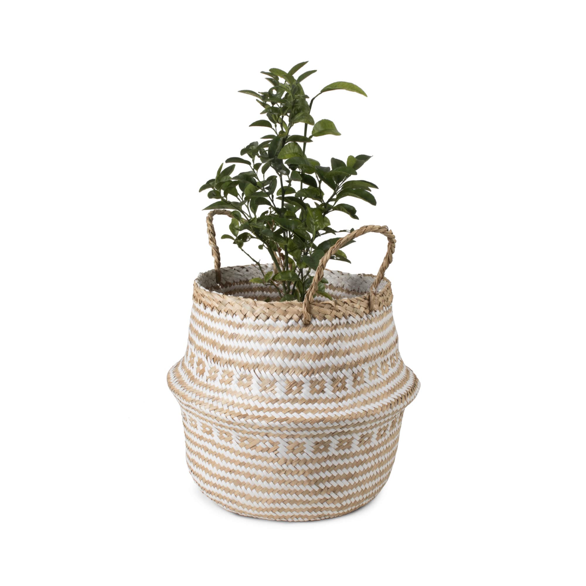 compactor-panier-de-rangement-en-jonc-tiss-medium-35-x-32-cm-brun-naturel-blanc image 5