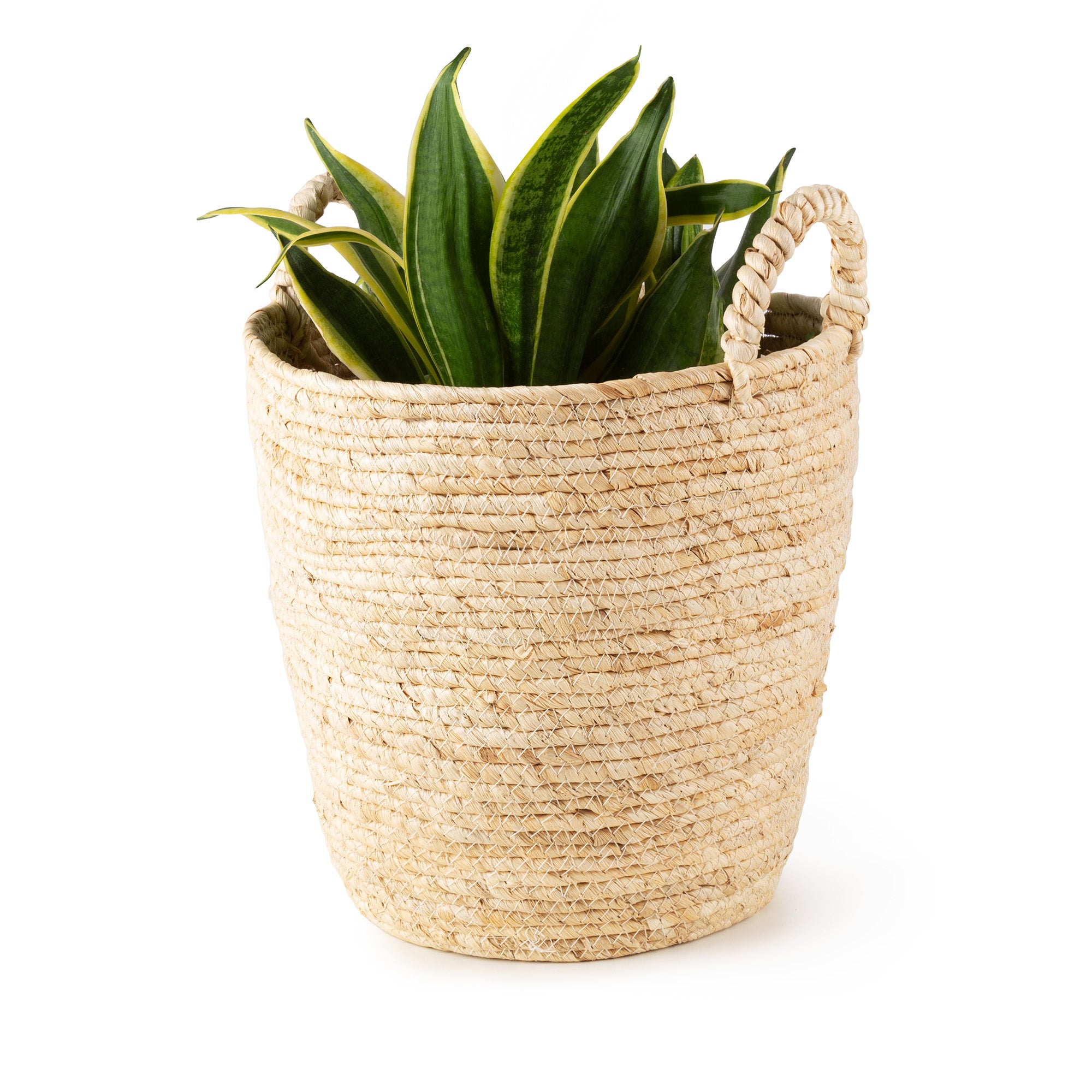 compactor-lhassa-panier-de-rangement-naturel-fibres-de-ma-s image 6