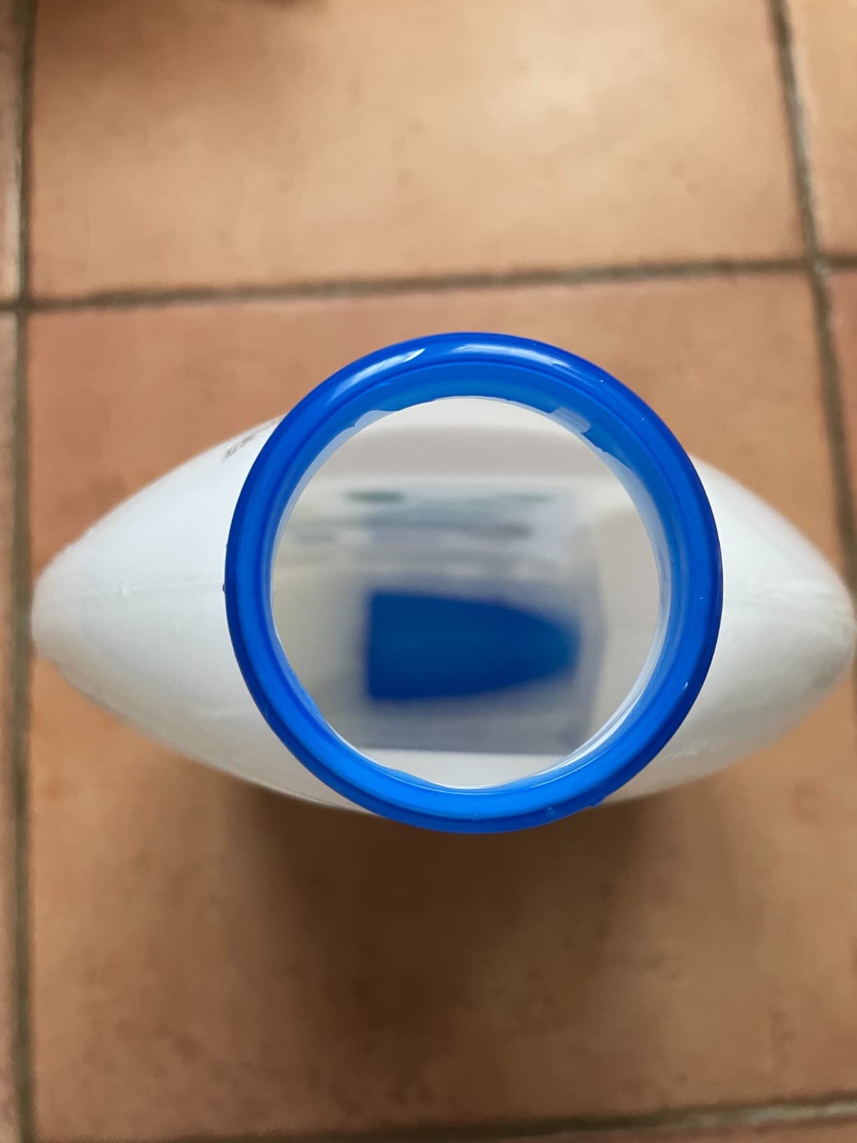 Adoptée depuis un an