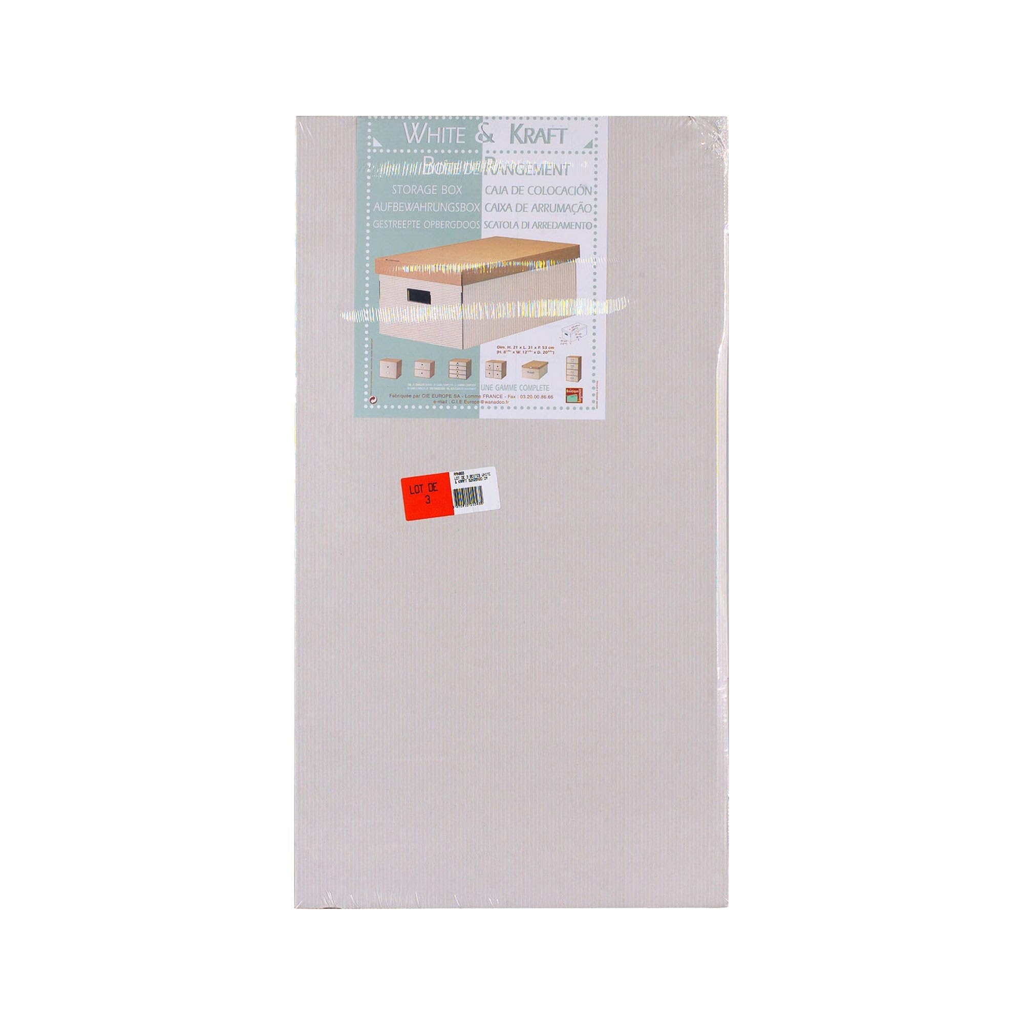 compactor-white-and-kraft-lot-de-3-bo-tes-carton-52-x-29-x-h-20-cm-ran855 image 3