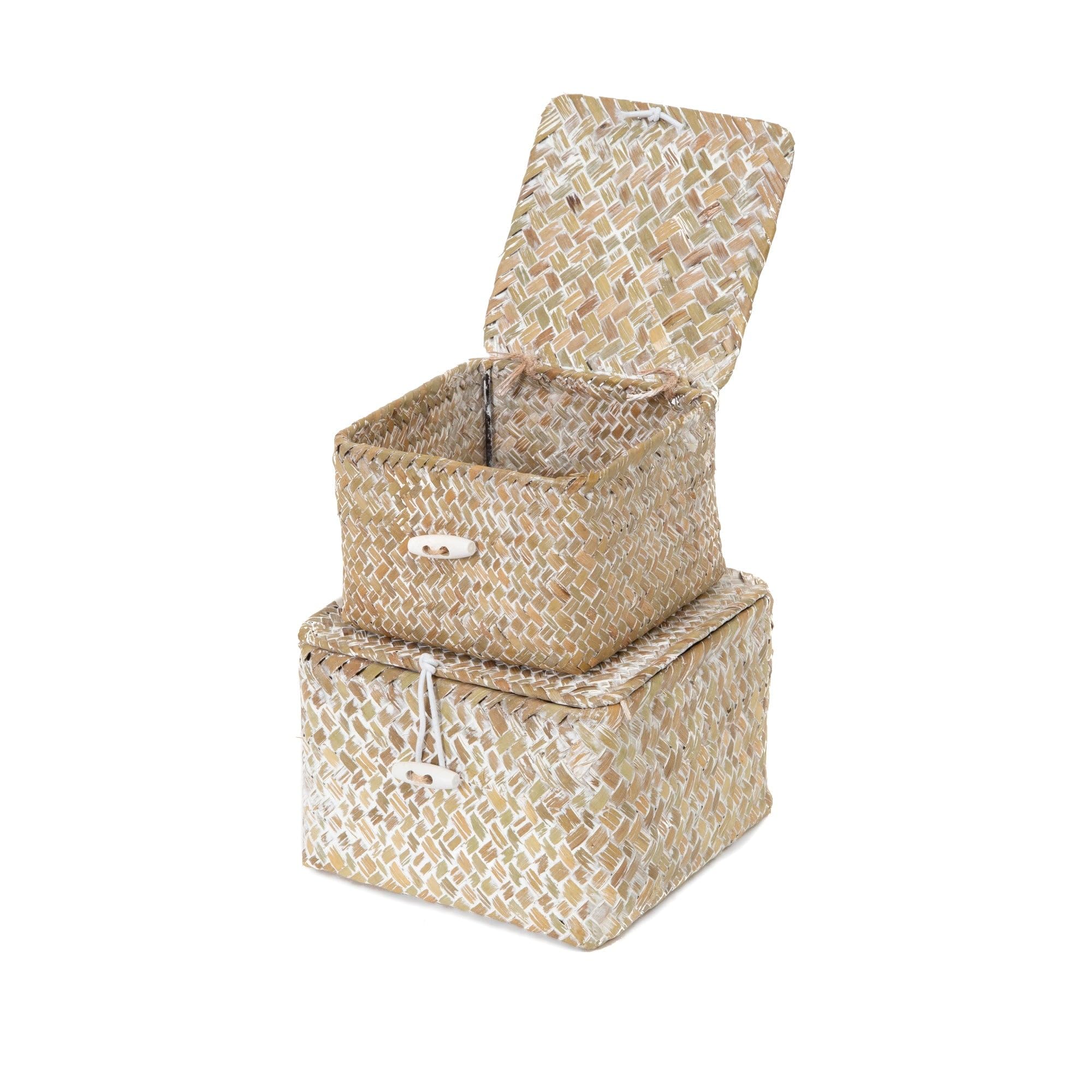 compactor-tr-sor-lot-de-2-paniers-de-rangement-en-herbe-de-mer-avec-couvercle image 4