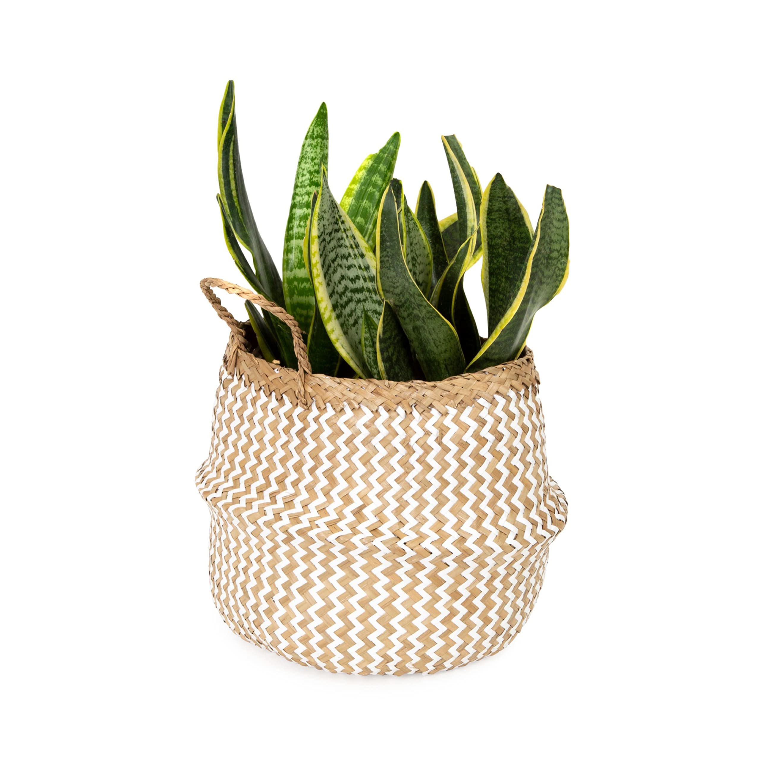 compactor-belly-m-panier-herbe-de-mer-blanc-27x27x26cm image 2