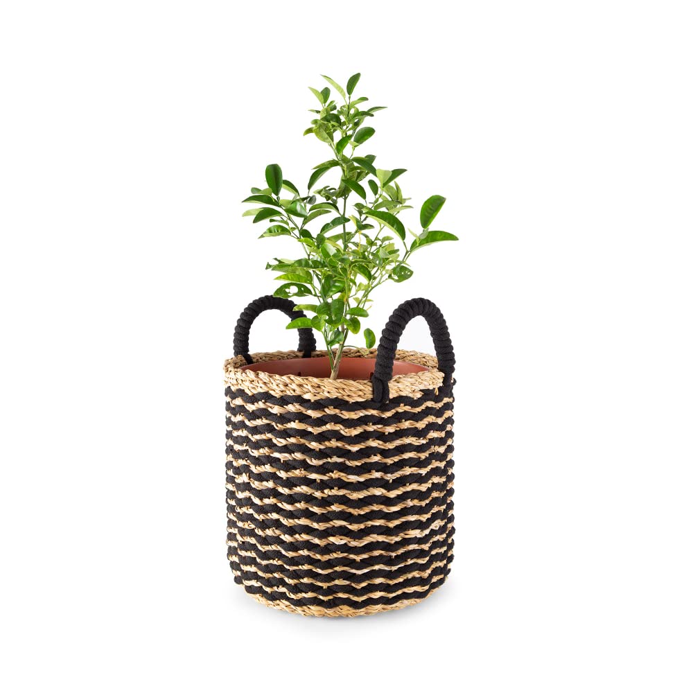 compactor-flora-panier-jonc-de-mer-large-dia-30-x-30-cm-noir-marron image 2