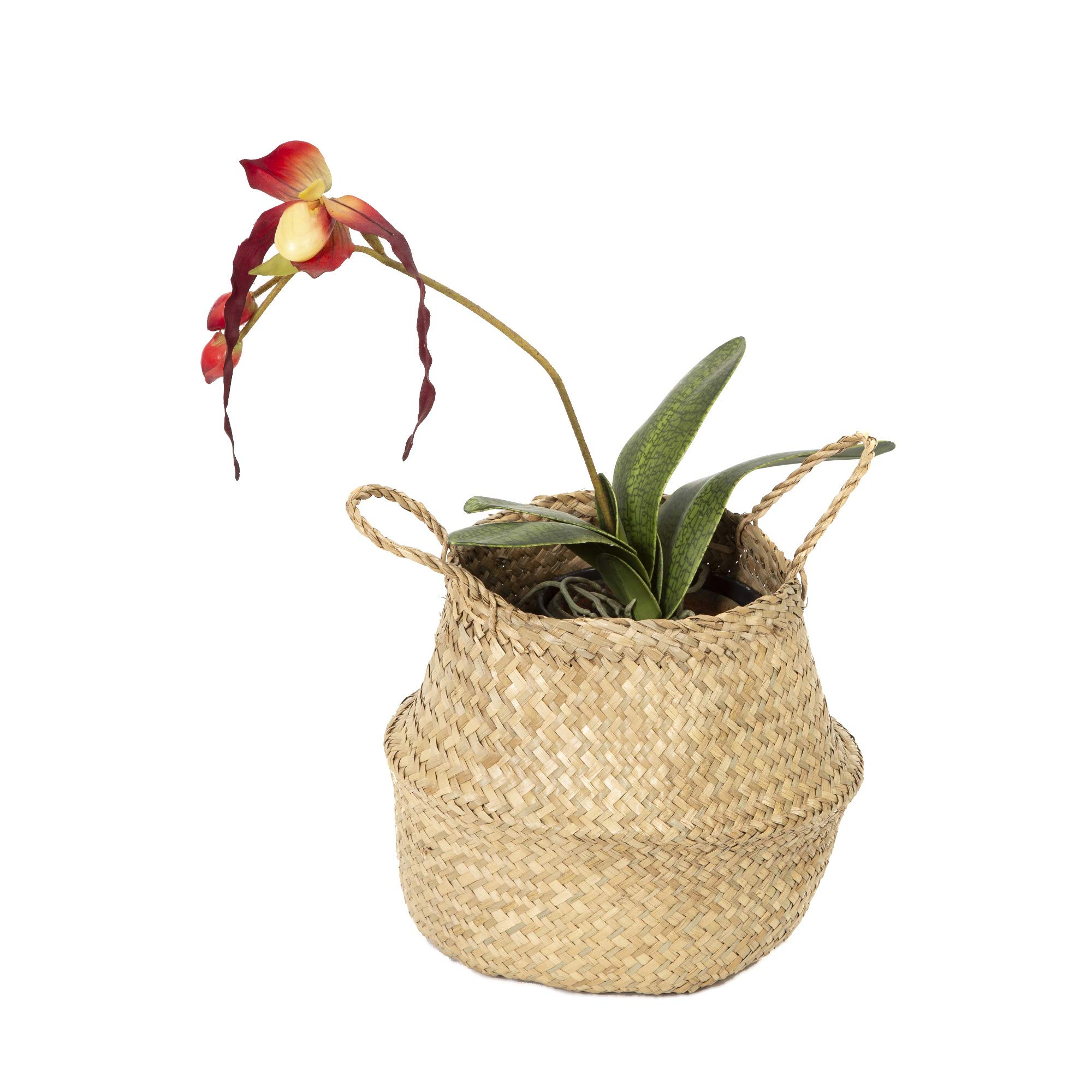 compactor-panier-belly-jonc-de-mer-rond-medium-27x27x26-cm-naturel image 2