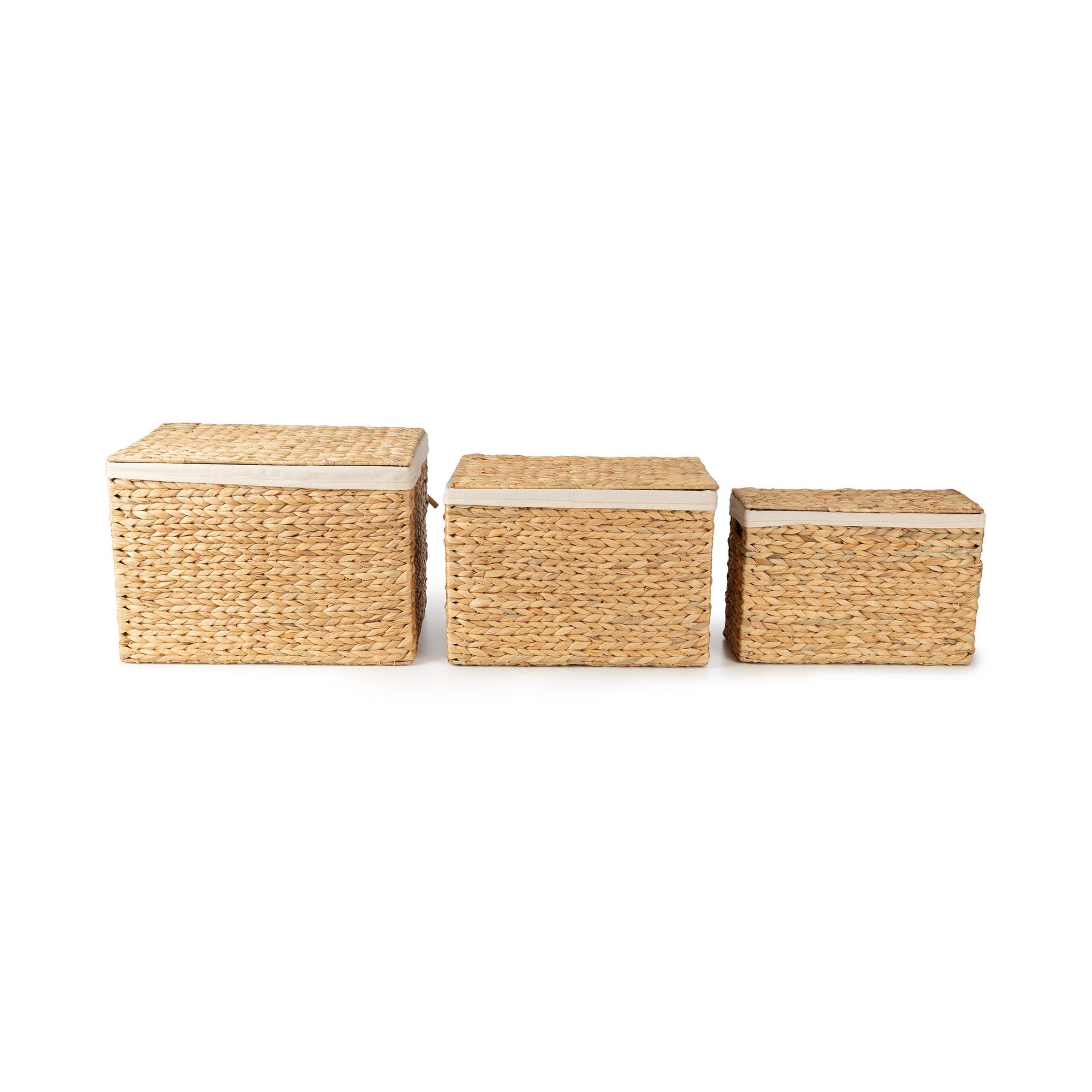 compactor-lot-3-malles-de-rangement-naturelles-jacinthe-d-eau image 4